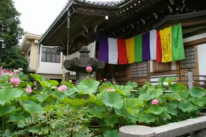龍寶山（龍宝山） 知行院_2