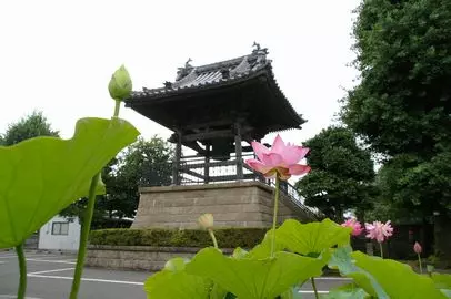 龍寶山（龍宝山） 知行院_1
