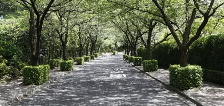 東京多摩霊園_7