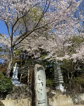 長福寺霊園　ガーデン樹木葬_5