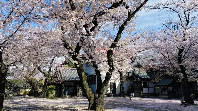実相寺樹木葬「安穏」_11