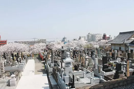 深谷さくらの里霊園_1