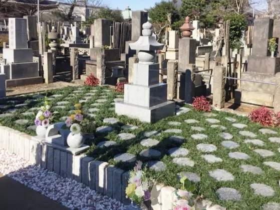 大田妙樹苑　樹木葬墓地_1