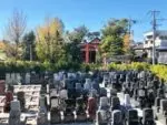 グリーンパーク新宿 グリーンパーク新宿