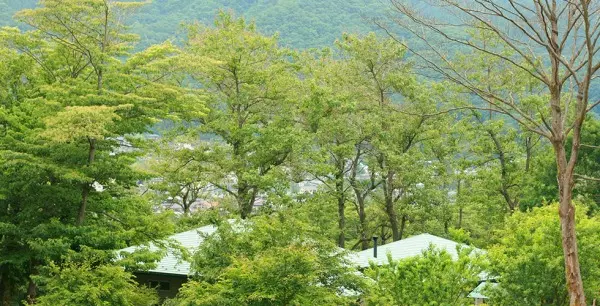 佛光寺　里山浄苑_5