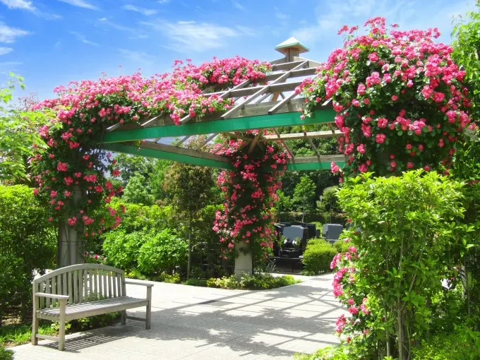 海老名フォーシーズンメモリアル 永代供養墓「花ことば」_13