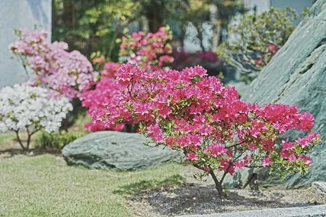 川口草加霊園 はじまりの杜_10