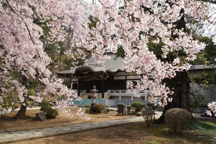 風の丘 樹木葬墓地_8