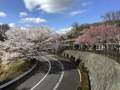 武蔵岡霊園_11