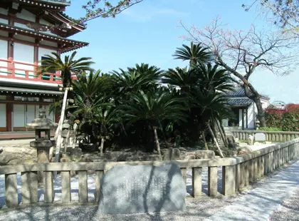 妙国寺霊園_3