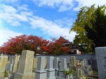 妙国寺霊園
