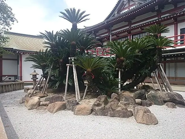 妙国寺霊園_2