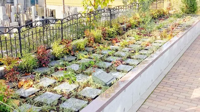 エバーグリーン金町_8