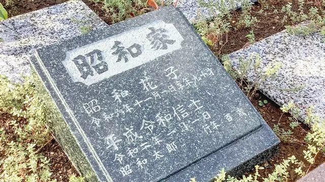 エバーグリーン金町_9