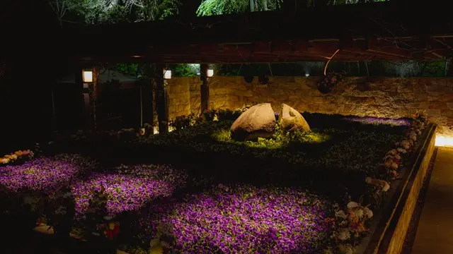 森林公園昭和浄苑（永代供養墓・樹木葬）_0