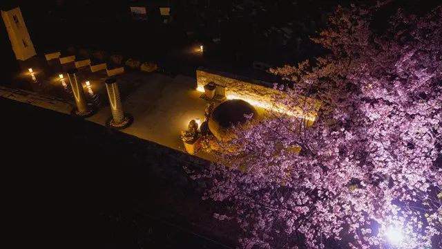 森林公園昭和浄苑（永代供養墓・樹木葬）_10