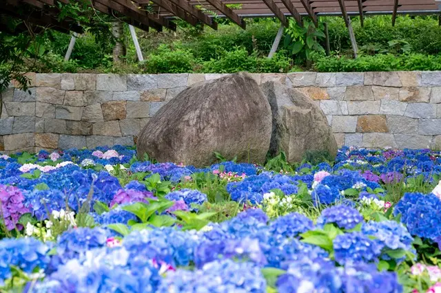 森林公園昭和浄苑（永代供養墓・樹木葬）_1