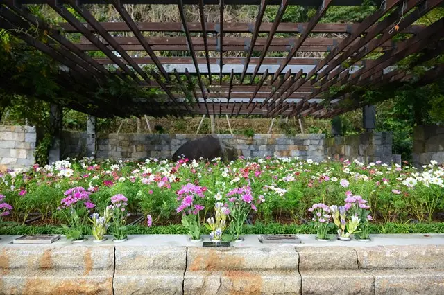 森林公園昭和浄苑（永代供養墓・樹木葬）_3