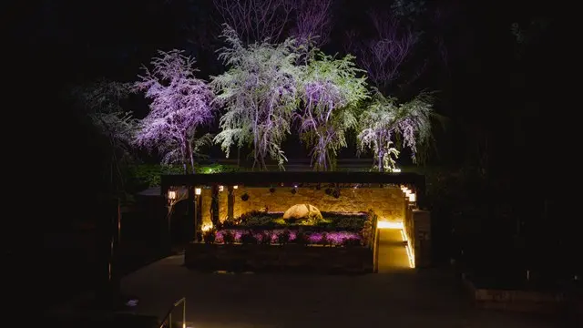 森林公園昭和浄苑（永代供養墓・樹木葬）_4