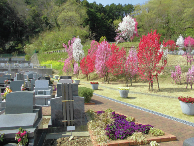 湘南メモリアルガーデン 湘南メモリアルガーデン