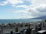 湘南セメタリーパーク