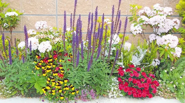 ハートフルガーデン葛飾鎌倉_4