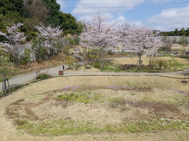 町田いずみ浄苑7