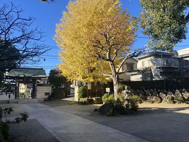 湘南江ノ島樹木葬墓地プラチナヒルズ_10