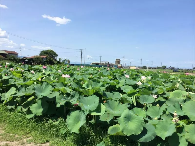 木曾三川霊苑_7