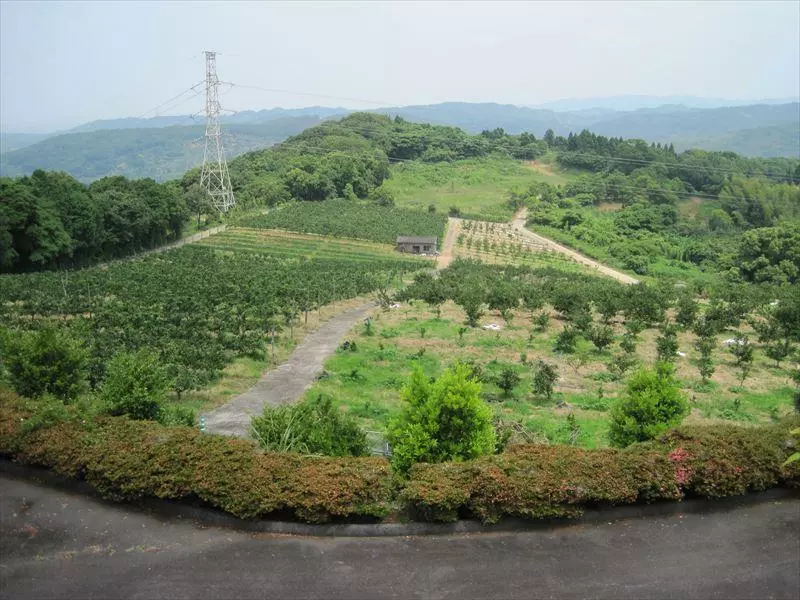 天空の郷有明墓園_2