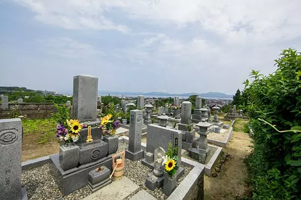 蓮光寺_7