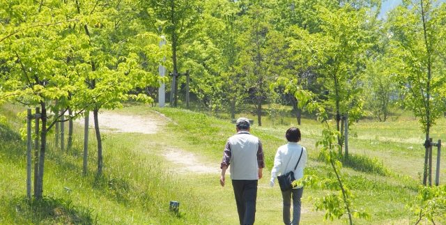 お墓の生前購入