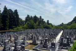 三井寺霊園の画像2