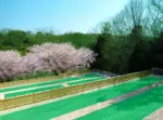 パークフォレスト鉢ヶ峰