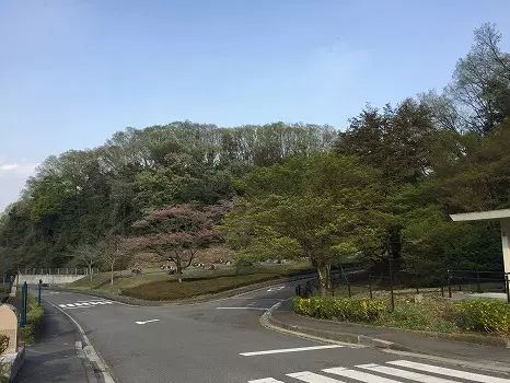 都立八王子霊園の画像9