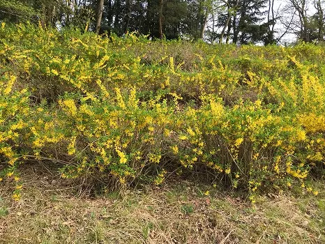 都立八王子霊園の画像11