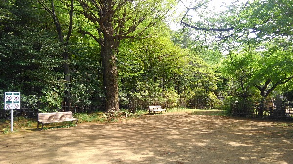 都立　染井霊園の画像14