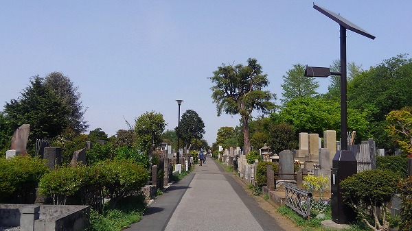 都立　染井霊園の画像1