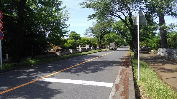 公営霊園にも樹木葬はある！公営ならではのメリットと注意点