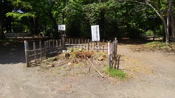 都立　多磨霊園_5