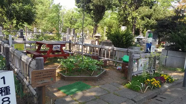 都立　雑司ヶ谷霊園_6