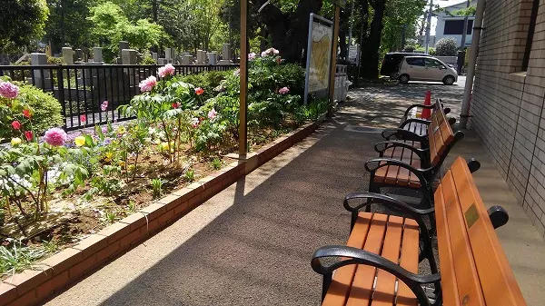 都立　雑司ヶ谷霊園_7