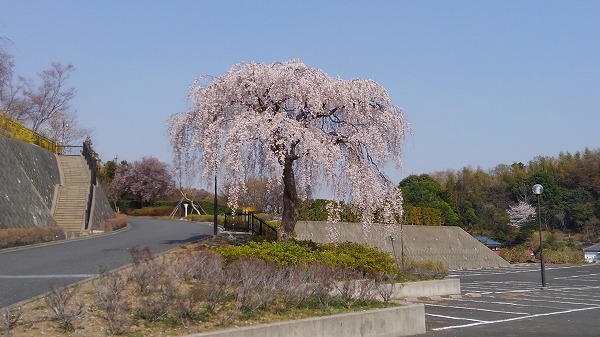 横浜あおば霊苑の画像1