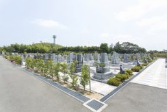 羽ノ浦ロイヤルパークの画像1