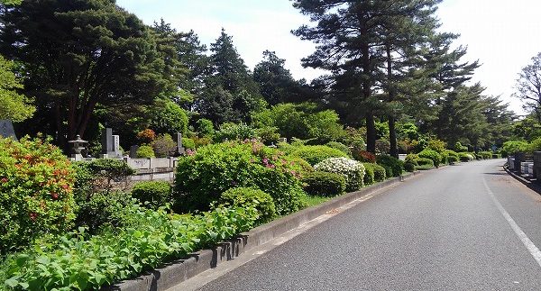 公園墓地のイメージ1
