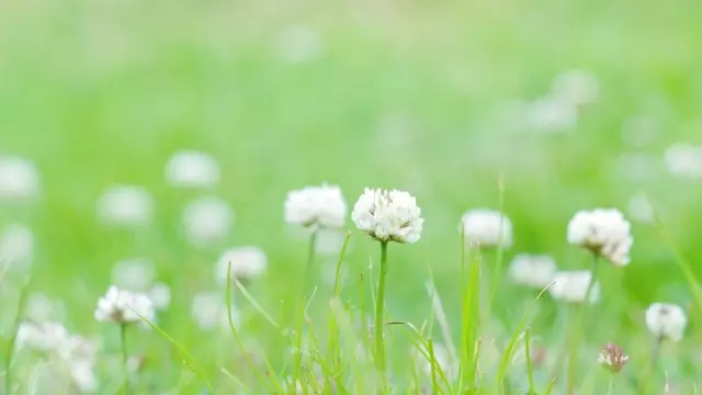 死産した赤ちゃんの遺骨は埋葬する？お葬式とお墓について