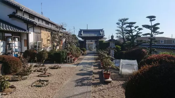 善福寺墓地_10