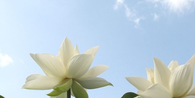 仏教のイメージ1