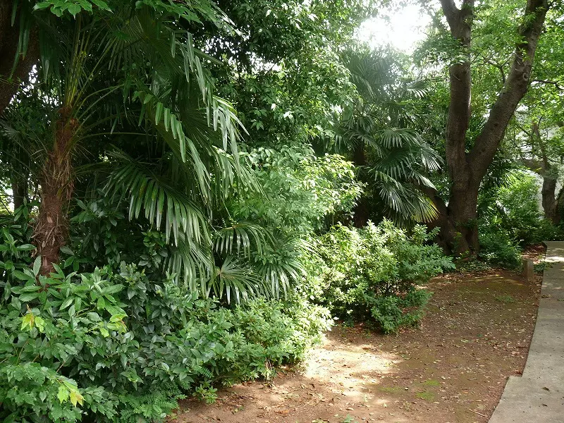 大倉山熊野霊園