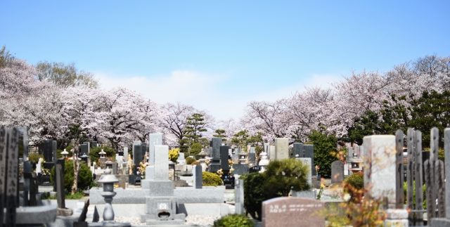 墓地の種類イメージ1